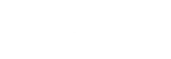 Austin NARI Logo